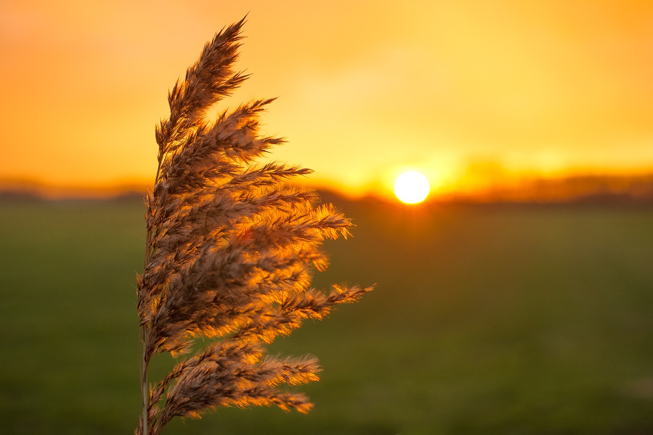 Why Everyone Should Support Eco-Friendly Local Businesses